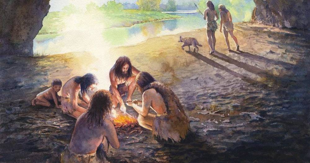 Люди питались растительной пищей уже 120 тысяч лет назад - popmech.ru