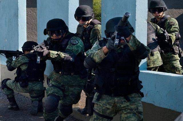 Мексиканские военные нашли мешки с человеческими останками - aif.ru - Афганистан - Mexico
