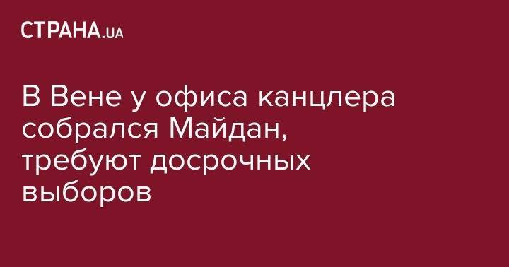 В Вене у офиса канцлера собрался Майдан, требуют досрочных выборов - strana.ua - Австрия