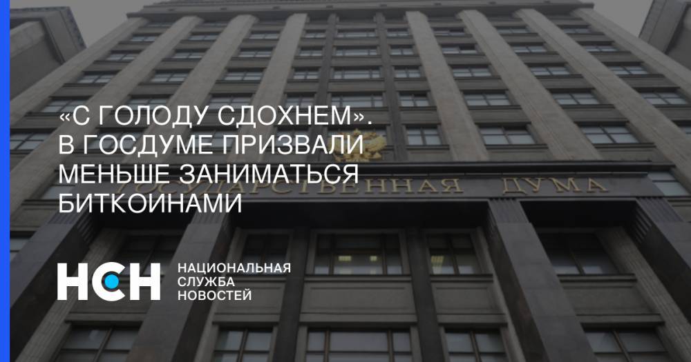Николай Арефьев - «С голоду сдохнем». В Госдуме призвали меньше заниматься биткоинами - nsn.fm - Россия