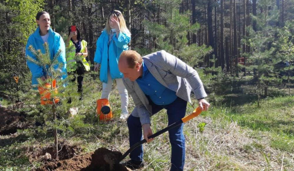 Петербуржцы высадили сосны и ивы в Курортном лесопарке - gorod-plus.tv - Россия - Санкт-Петербург - Экология