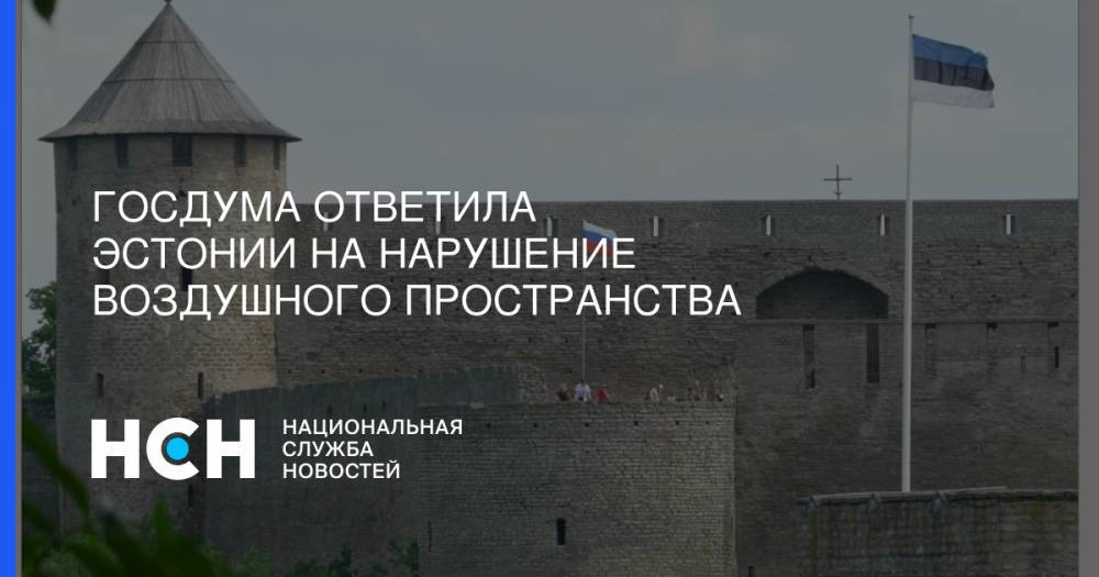 Юрий Швыткин - Керсти Кальюлайд - Госдума ответила Эстонии на нарушение воздушного пространства - nsn.fm - Москва - Россия - Эстония