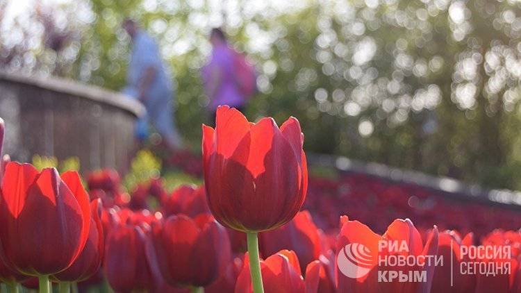 На "Тавриде" спроектировали первый арт-парк в Крыму - crimea.ria.ru - Крым - Симферополь