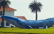 В США создали самого большого кита из пластика - korrespondent.net - США - Англия - Экология