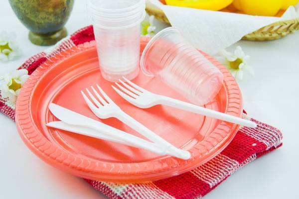 Дмитрий Кобылкин - Минприроды сообщило о введении запрета на пластиковую посуду в России - moneytimes.ru - Россия