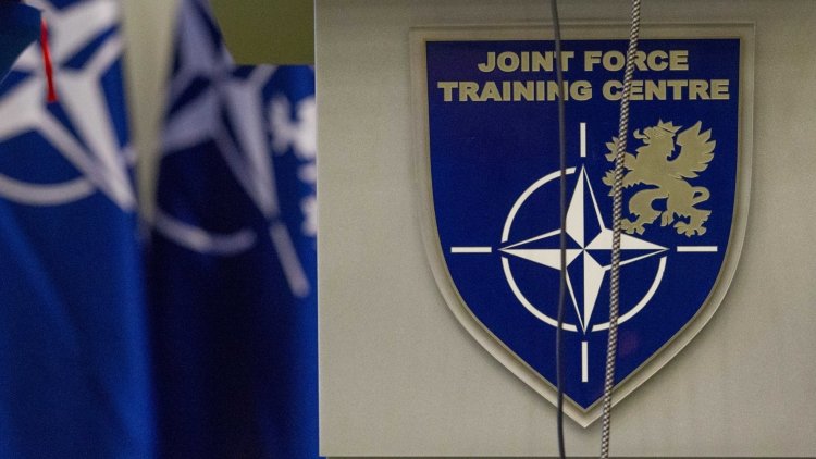 Стюарт Пич - НАТО призывает вывести Россию войска из Крыма - polit.info - Москва - Россия - Крым - Крым