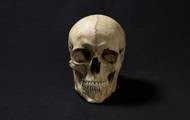 Лицо человека, жившего 1300 лет назад, воссоздали на фото - korrespondent.net - Швейцария