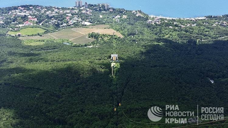 В Крыму высадят свыше 200 га лесов - crimea.ria.ru - Россия - Крым - Симферополь