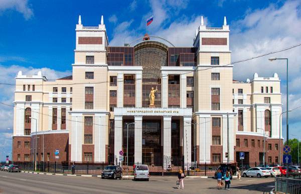 Владимир Путин - Первый приговор по статье о неуважении к власти вступил в силу - theins.ru - Россия - Нижний Новгород