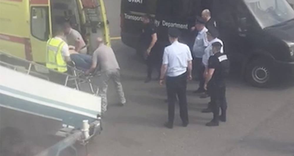 Светлана Петренко - Александр Бастрыкин - Возбуждено дело после смерти снятого с рейса в Домодедово пассажира - m24.ru - Москва - Симферополь