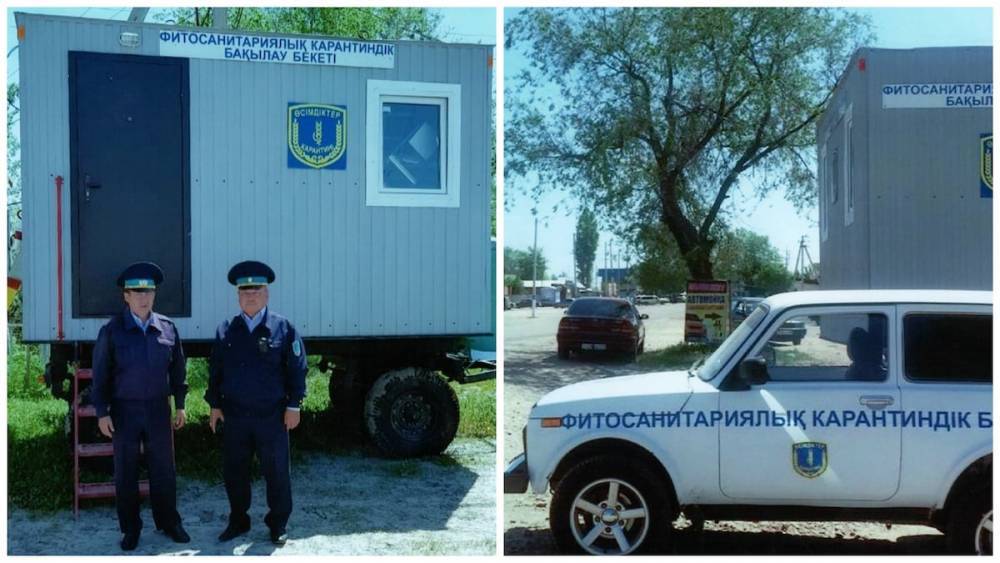 Казахстан разрешил ввоз картофеля и яблок из Кыргызстана - nur.kz - Киргизия