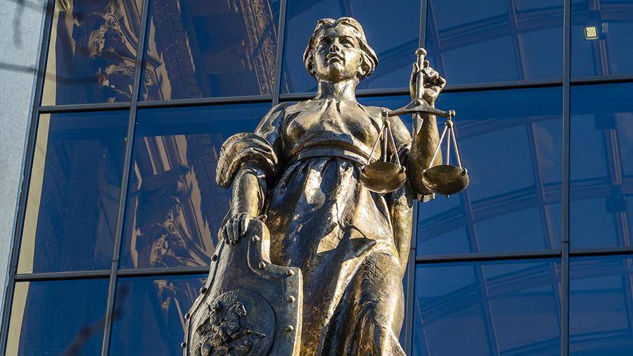 Отравившую малыша соленой кашей няню осудили на 14 лет - iz.ru - Россия - окр.Ненецкий - Архангельская обл. - Северодвинск