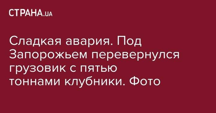 Сладкая авария. Под Запорожьем перевернулся грузовик с пятью тоннами клубники. Фото - strana.ua - Запорожская обл. - Запорожье