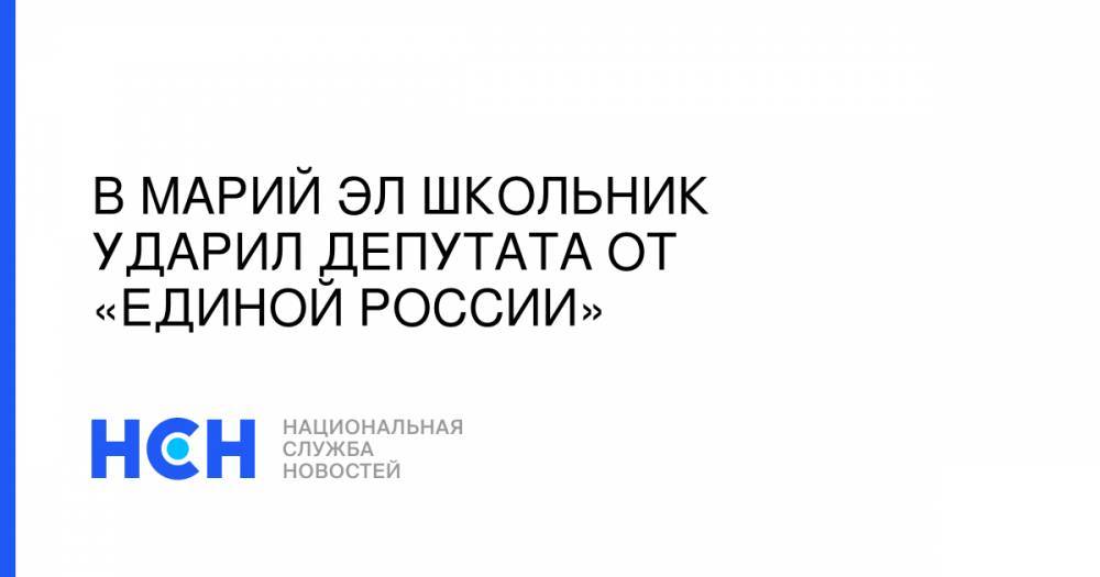 В Марий Эл школьник ударил депутата от «Единой России» - nsn.fm - Россия - респ. Марий Эл
