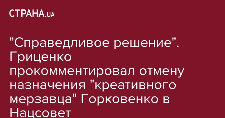 Анатолий Гриценко - "Справедливое решение". Гриценко прокомментировал отмену назначения "креативного мерзавца" Горковенко в Нацсовет - strana.ua - Украина