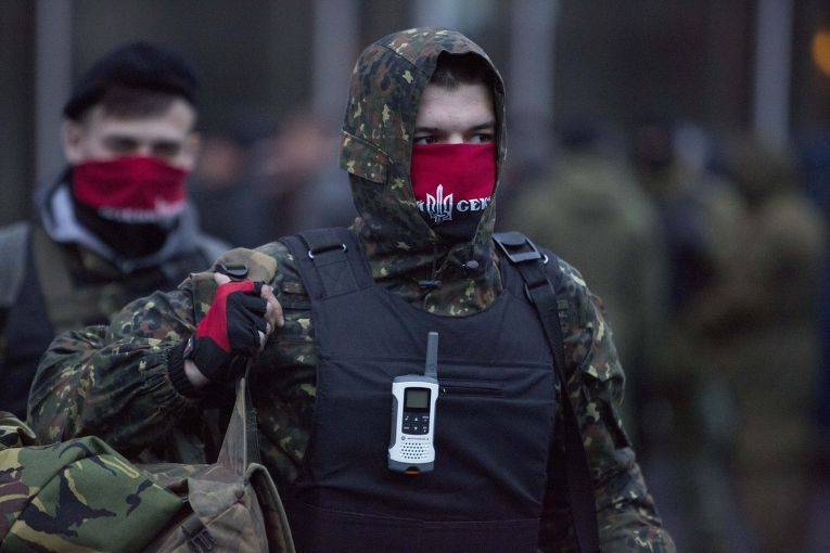 Сергей Стерненко - Содержание Правого сектора обходилось украинскому бюджету в сотни миллионов - news-front.info - Украина - Одесса