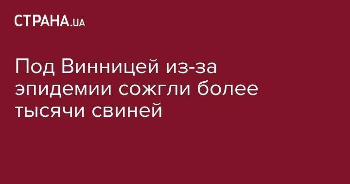 Под Винницей из-за эпидемии сожгли более тысячи свиней - strana.ua - Винницкая обл.