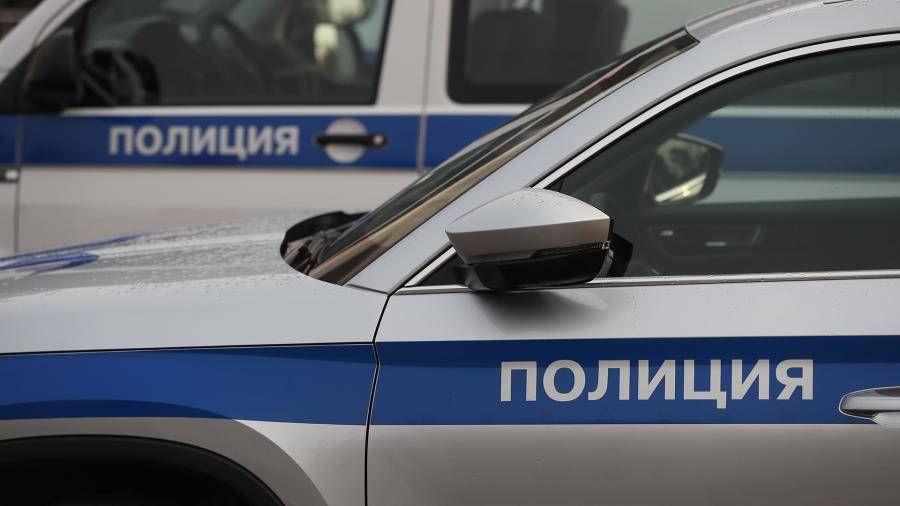 На участников скандального флешмоба во Владивостоке составили протоколы - iz.ru - Россия - Владивосток