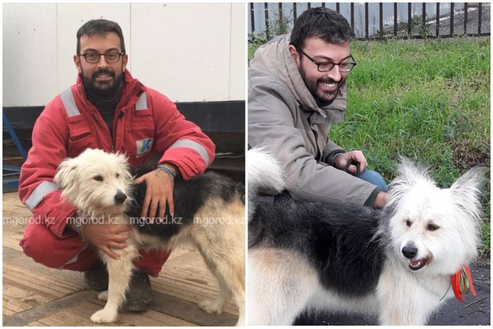 Итальянец забрал собаку из Аксая на ПМЖ в Рим (фото) - nur.kz - Казахстан - Италия - Рим - Западно-Казахстанская обл.