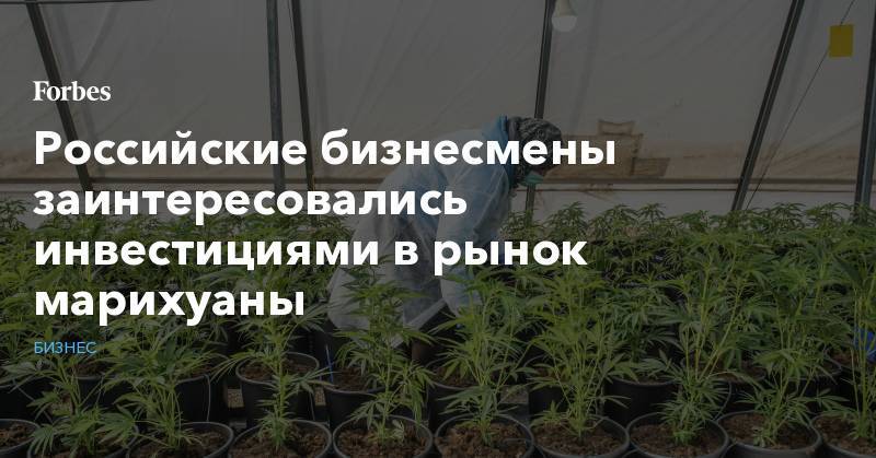 Российские бизнесмены заинтересовались инвестициями в рынок марихуаны - forbes.ru - Россия - США - Австралия - Грузия - Юар