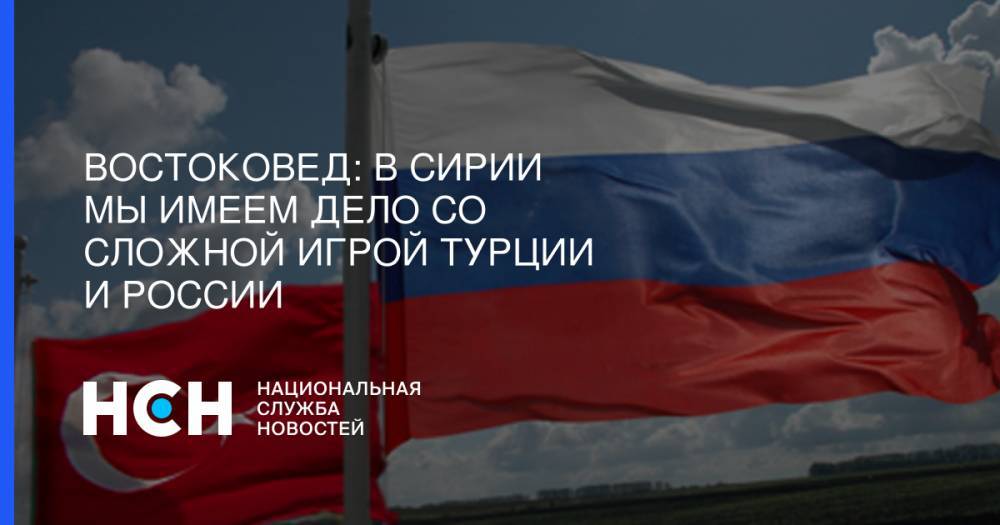 Сергей Шойгу - Востоковед: В Сирии мы имеем дело со сложной игрой Турции и России - nsn.fm - Россия - Сирия - Турция - Анкара