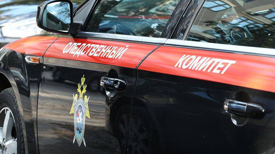 СК начал проверку после нападения собаки на ребенка в Ногинске - iz.ru - Россия - Московская обл. - Оренбургская обл. - Ногинск