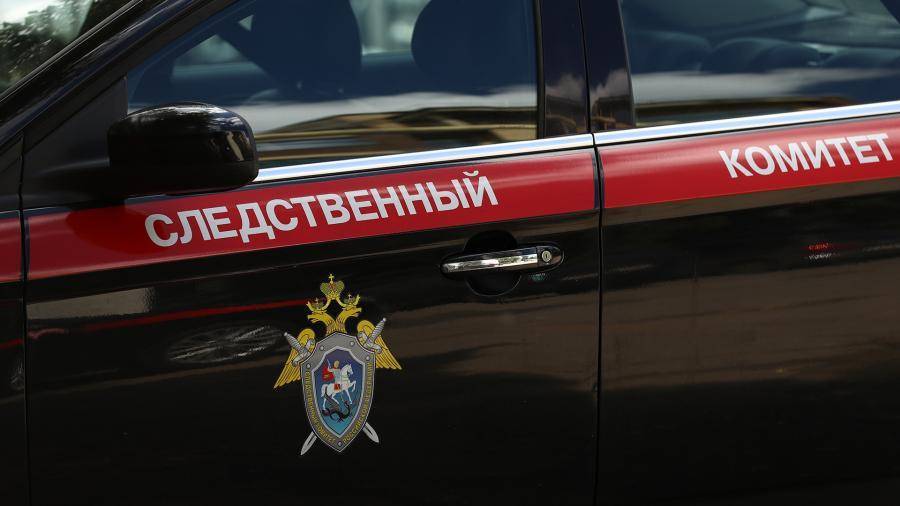 Ольга Врадий - СК возбудил дело после нападения собаки на ребенка в Ногинске - iz.ru - Москва - Россия - Московская обл. - Ногинск