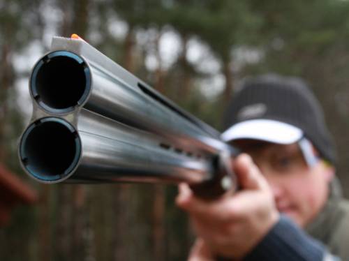 Эксперты одобрили продление разрешения на гражданское оружие - vestirossii.com