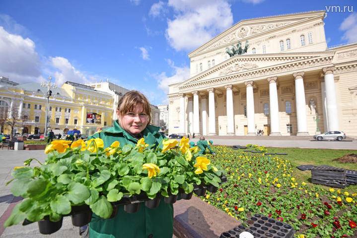 Десятки тысяч цветов высадят у Большого театра - vm.ru - Благоустройство