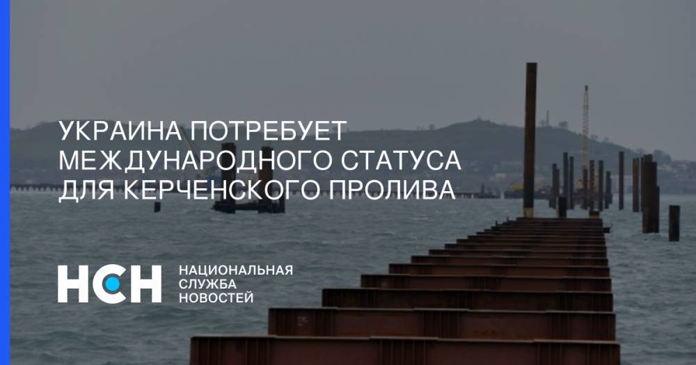 Елен Зеркаль - Украина потребует международного статуса для Керченского пролива - nsn.fm - Украина - Киев
