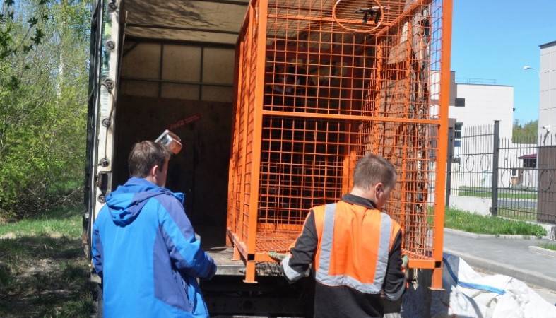 Новые емкости для сбора пластиковой тары установлены в Петрозаводске - 365news.biz - Карелия - Петрозаводск