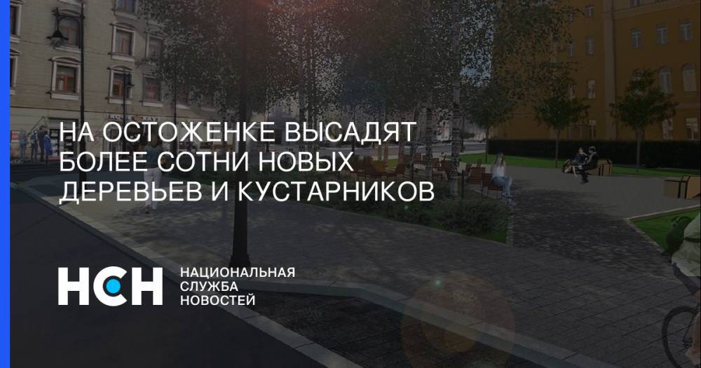 Сергей Собянин - На Остоженке высадят более сотни новых деревьев и кустарников - nsn.fm - Москва