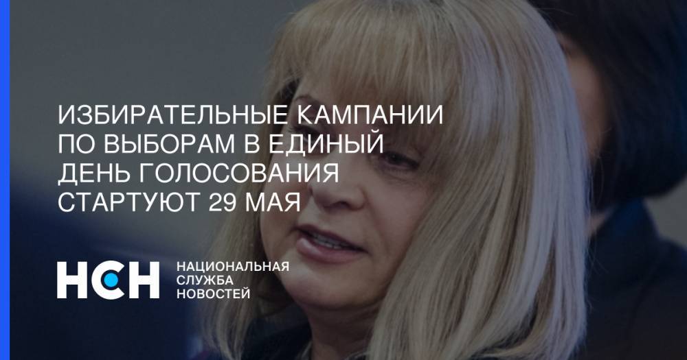 Элла Памфилова - Избирательные кампании по выборам в единый день голосования стартуют 29 мая - nsn.fm - Россия