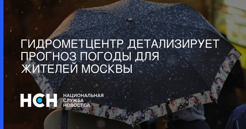 Дмитрий Киктев - Гидрометцентр детализирует прогноз погоды для жителей Москвы - nsn.fm - Москва - Россия - Московская обл.