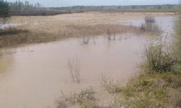 Амурчане напуганы возможной экологической катастрофой в Зейском районе - ecosever.ru - Амурская обл.