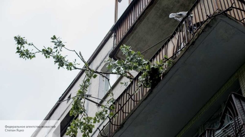 Житель Приморья спас из горящей квартиры двух девочек, свесившись с балкона на 7 этаже - politros.com - Приморье край - Фокино - Приморье