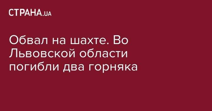Михаил Волынец - Обвал на шахте. Во Львовской области погибли два горняка - strana.ua - Украина - Львовская обл.