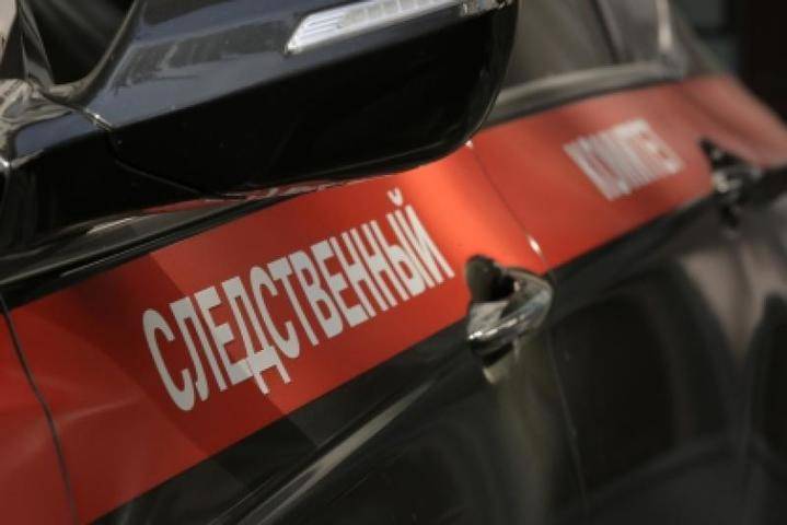 Юлия Иванова - Московские следователи вернули матери сына, похищенного в 2015 году - vm.ru - Москва