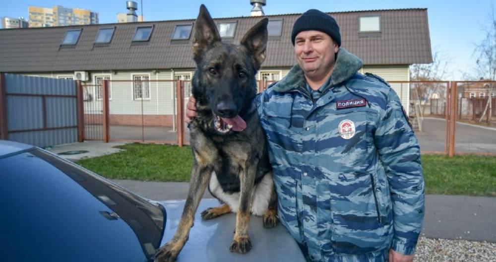 Ирина Волк - МВД сократило список потенциально опасных пород собак - m24.ru - Россия