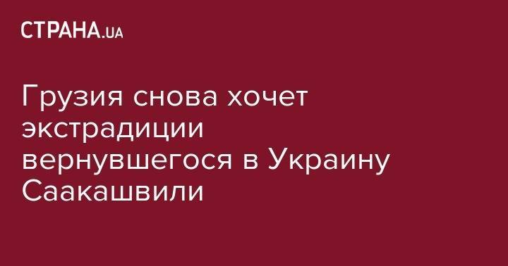 Михаил Саакашвили - Грузия снова хочет экстрадиции вернувшегося в Украину Саакашвили - strana.ua - Украина - Грузия - Польша - Борисполь