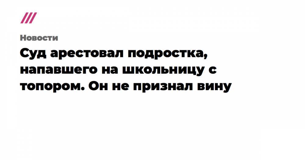 Суд арестовал подростка, напавшего на школьницу с топором. Он не признал вину - tvrain.ru - Вольск