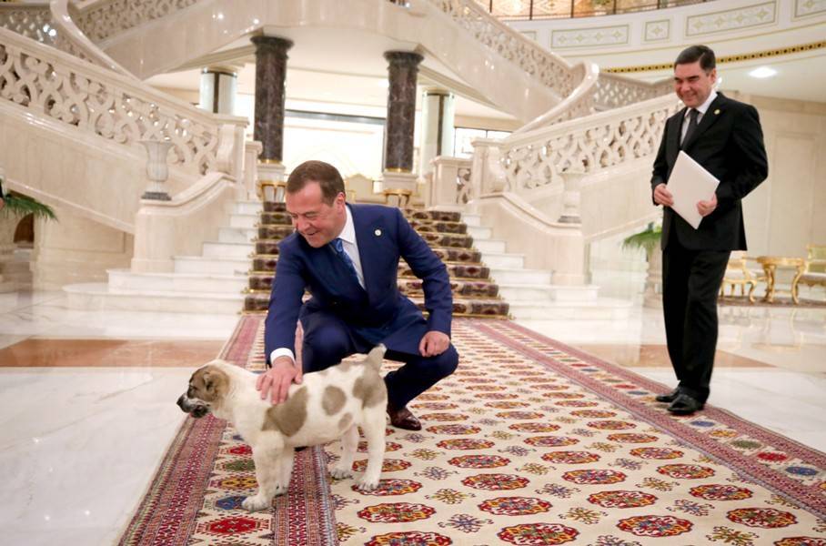 Дмитрий Медведев - Гурбангулы Бердымухамедов - Президент Туркмении подарил Медведеву пятнистого алабая - m24.ru - Россия - Туркмения