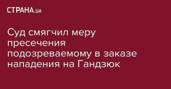 Екатерина Гандзюк - Владислав Мангер - Суд смягчил меру пресечения подозреваемому в заказе нападения на Гандзюк - strana.ua - Украина - Киев - Херсон - Херсонская обл.