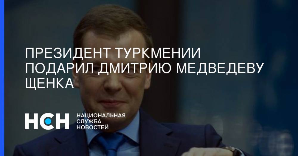 Дмитрий Медведев - Гурбангулы Бердымухамедов - Президент Туркмении подарил Дмитрию Медведеву щенка - nsn.fm - Россия - Туркмения