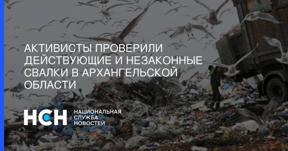 Активисты проверили действующие и незаконные свалки в Архангельской области - nsn.fm - респ. Коми - Архангельск - Архангельская обл. - Северодвинск