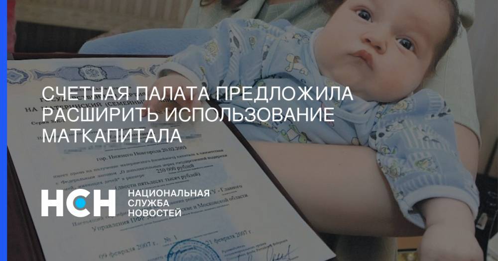 Светлана Орлова - Счетная палата предложила расширить использование маткапитала - nsn.fm