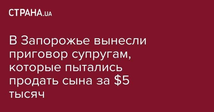 В Запорожье вынесли приговор супругам, которые пытались продать сына за $5 тысяч - strana.ua - США - Запорожская обл. - Запорожье