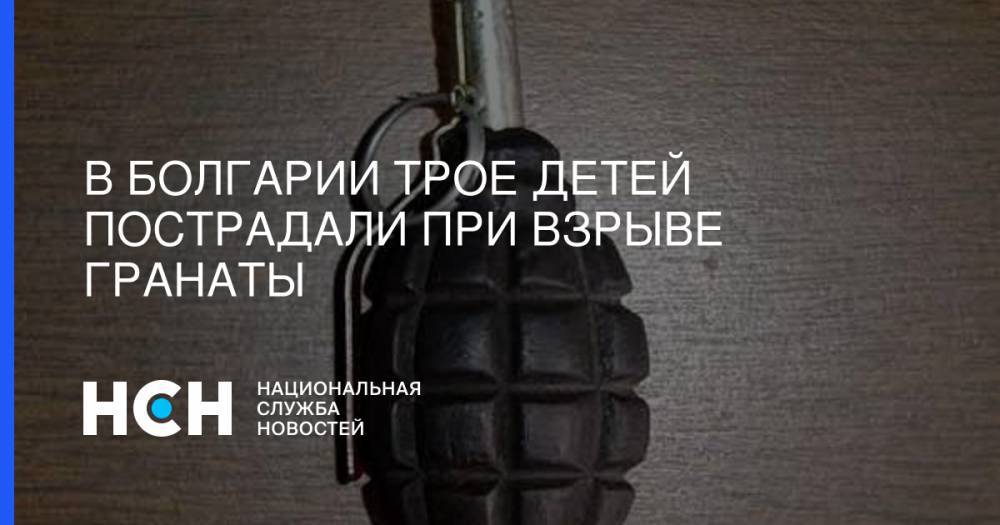 В Болгарии трое детей пострадали при взрыве гранаты - nsn.fm - Румыния - Болгария