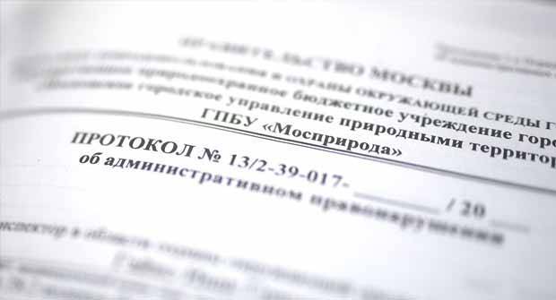 Опубликована концепция нового Кодекса об административных правонарушениях - politik.su