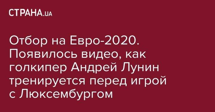 Андрей Лунин - На Евро - Отбор на Евро-2020. Появилось видео, как юный голкипер Андрей Лунин тренируется перед игрой с Люксембургом - strana.ua - Украина - Киев - Италия - Сербия - Мадрид - Люксембург - Великое Герцогство Люксембург